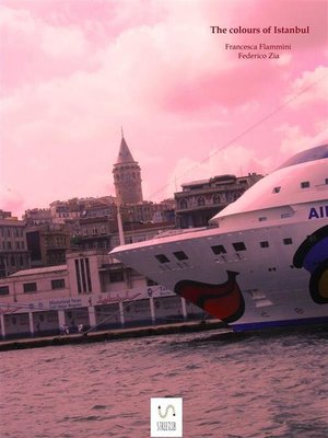 cover image of The colours of Istanbul